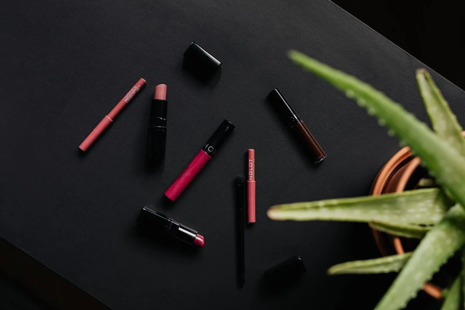 Overhead view of an assortment of lipsticks and makeup products complemented by an aloe plant, on a black background.