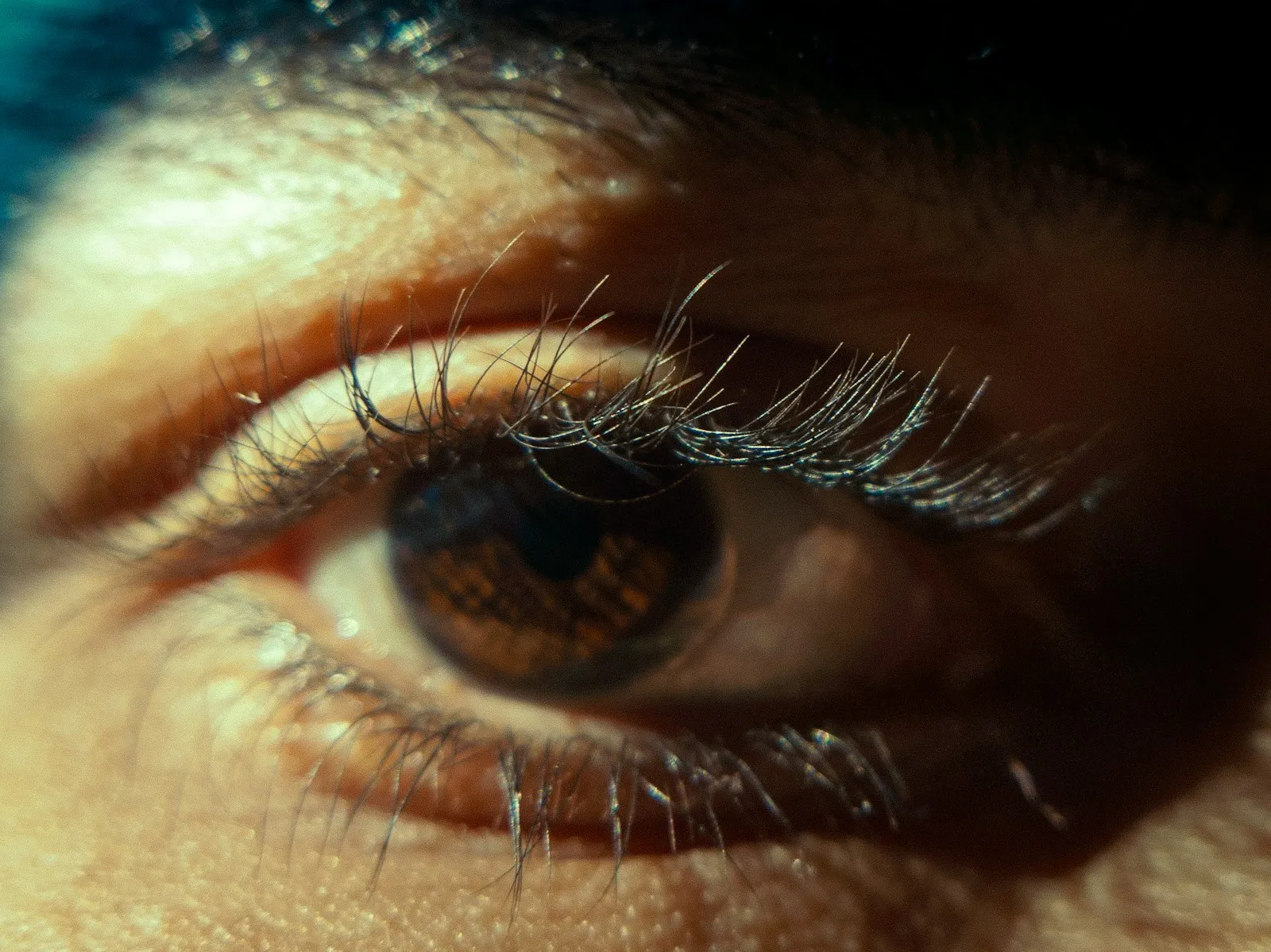 A macro view of a brown human eye with long dark eyelashes