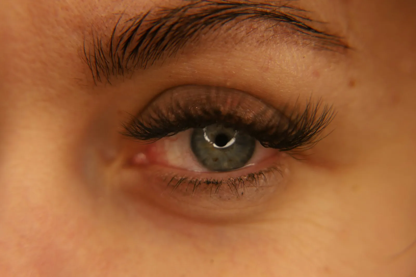 A close-up of a human eye with long dark eyelashes and grey iris
