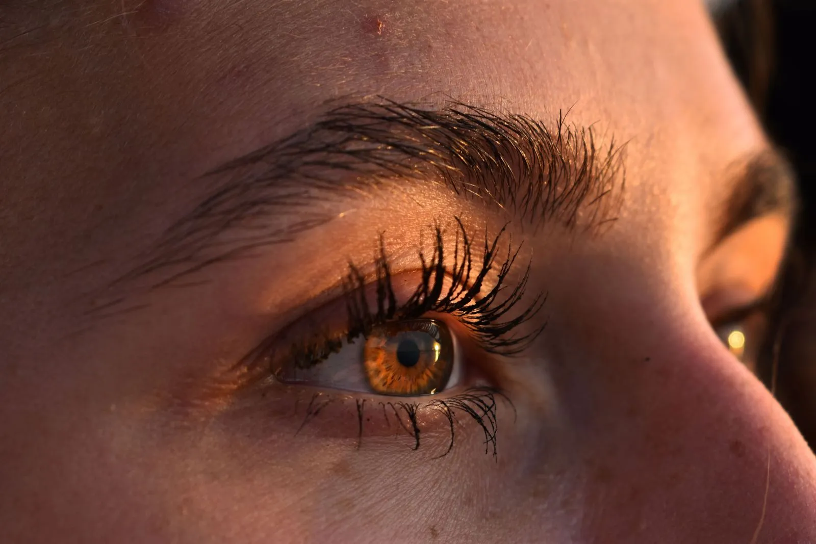 Detailed close-up of a woman's eye and eyelashes in sunlight, highlighting natural beauty.