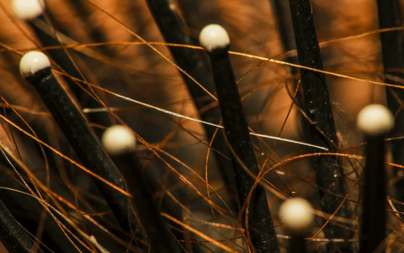 bristles hair hair brush macro