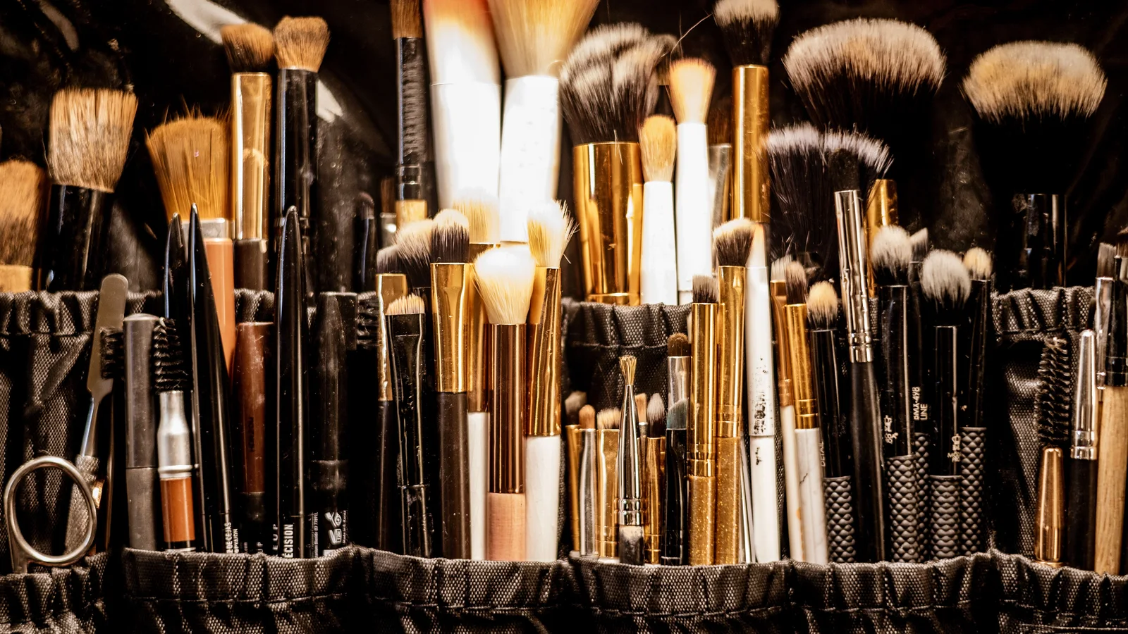 Make-up brushes of different shapes arranged in a dark case.